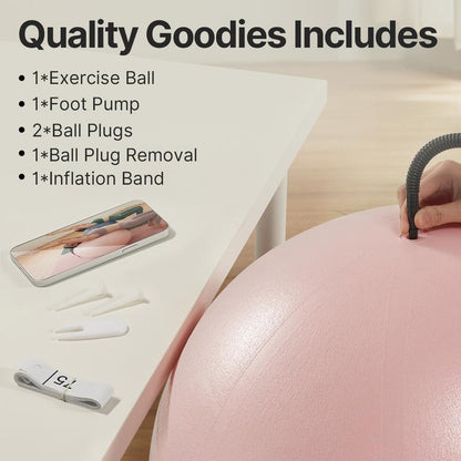 YOTTOY Anti-Burst Exercise Ball for Working Out, Yoga Ball for Pregnancy,Extra Thick Workout Ball for Physical Therapy,Stability Ball for Ball Chair Fitness with Pump…